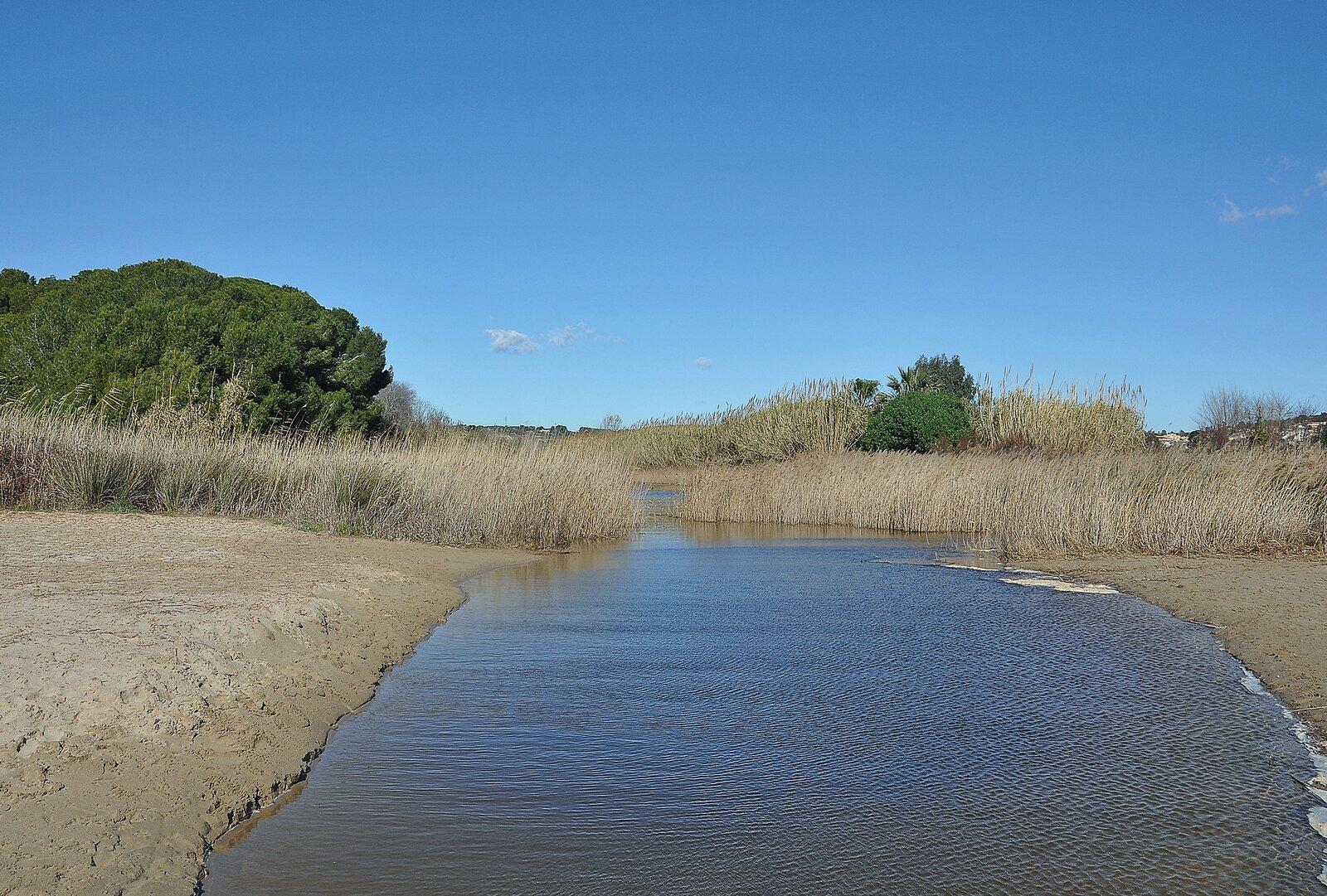 The Gaià river mouth between reeds and sandy banks