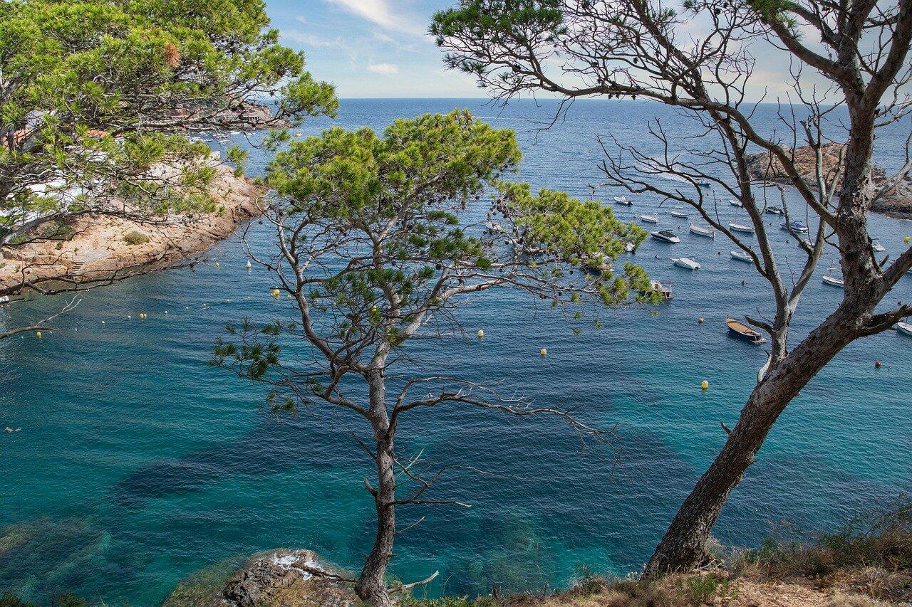 Snorkeling Around Begur: A Safer First-Time Cove Plan