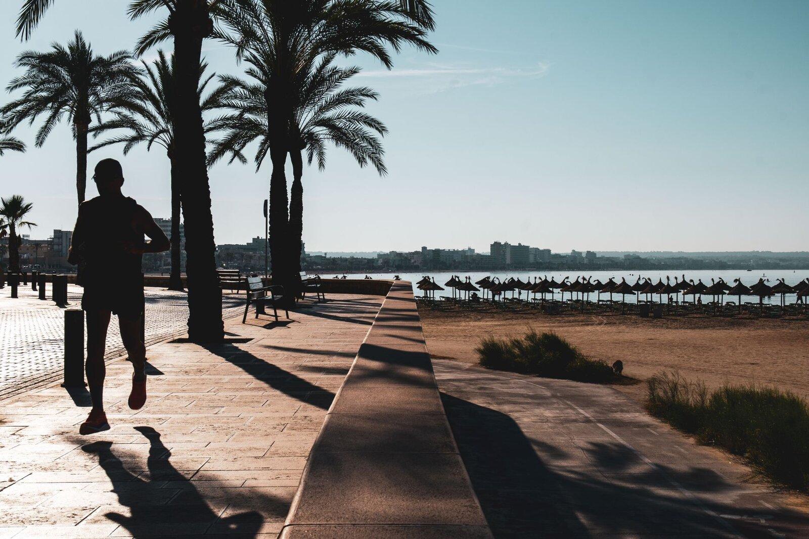 Beach promenade palm trees